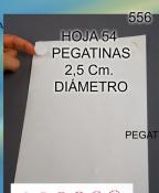 Hoja 54 pegatinas 2,5cm redondas
