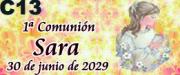 1387-3618 c13