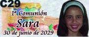 1387-3618 c29