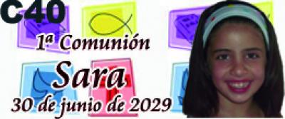1387-3618 c40