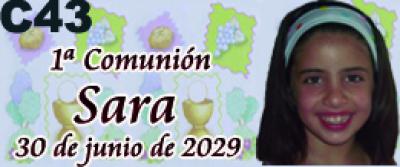 1387-3618 c43