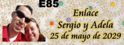 1386-3618-585 e85