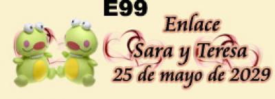 1386-3618-585 e99