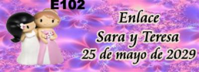 1386-3618-585 e102
