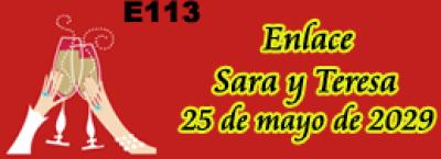 1386-3618-585 e113