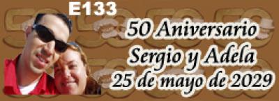 1386-3618-585 e133