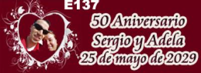 1386-3618-585 e137